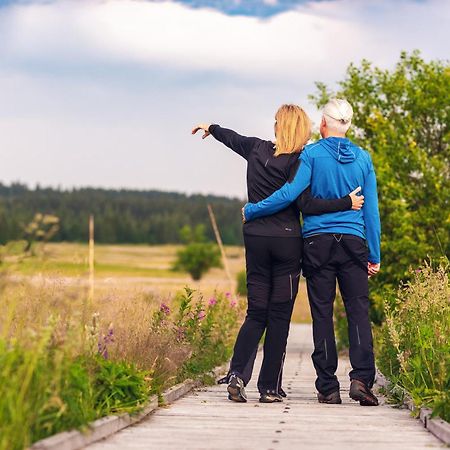 Vila Domecheck Boží Dar Exteriér fotografie