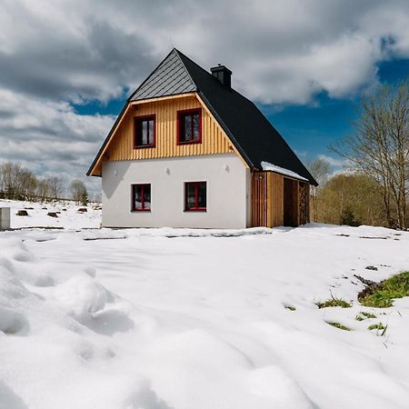 Vila Domecheck Boží Dar Exteriér fotografie